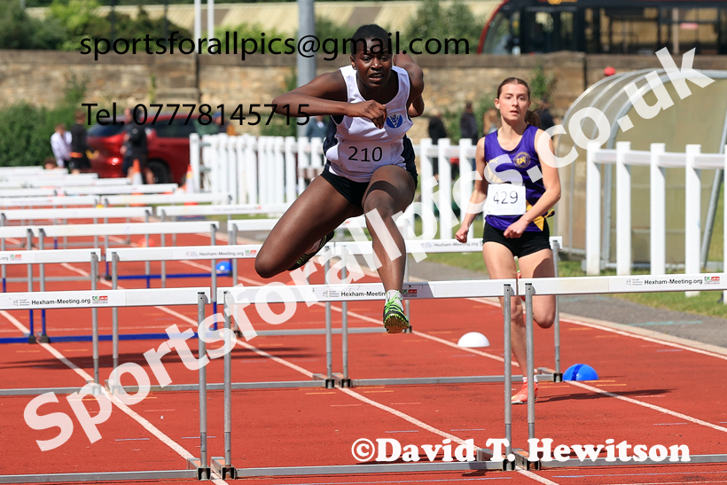 Hurdles, 2026 Northern Schools Inter Counties, Wentworth, Hexham. Photo: David T. Hewitson/Sports for All Pics